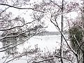 Wandeling De Paalse Plas 24-2-2013 (27)